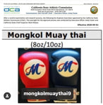 Mongkol Boxing Gloves-New Blue PRO #5 8oz